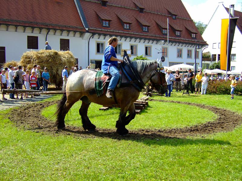 dorffest_rot07 (46).JPG